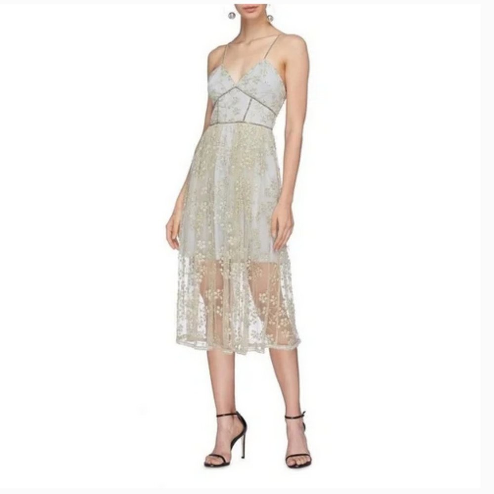 NWT Self-Portrait Gold & Blue Floral Embroidered Mesh Corseted Dress - Picture 3 of 9